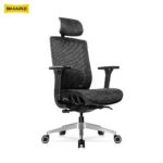 Dorzal Max Ergonomic Chair (Black Phantom)